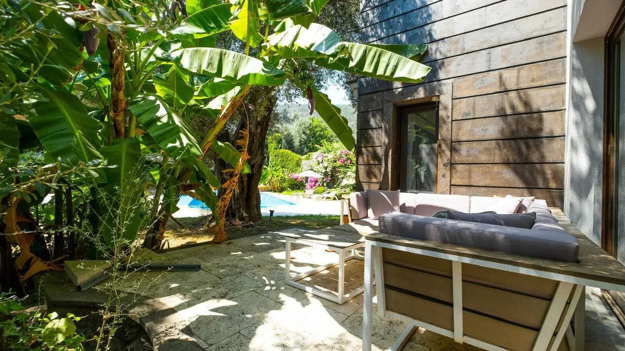 Property in Torba
